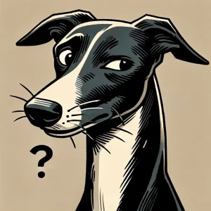 Chani der Whippet ist Neugierig